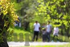 芬兰足球队比分-芬兰足球队比分，从默默无闻到国际赛场的有力发声
